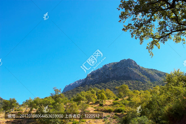 山