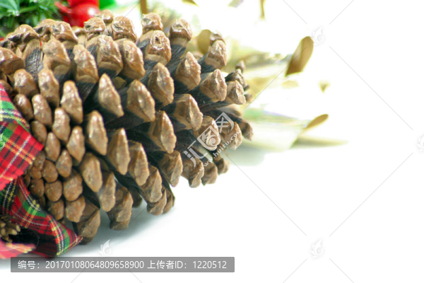 松果和弓