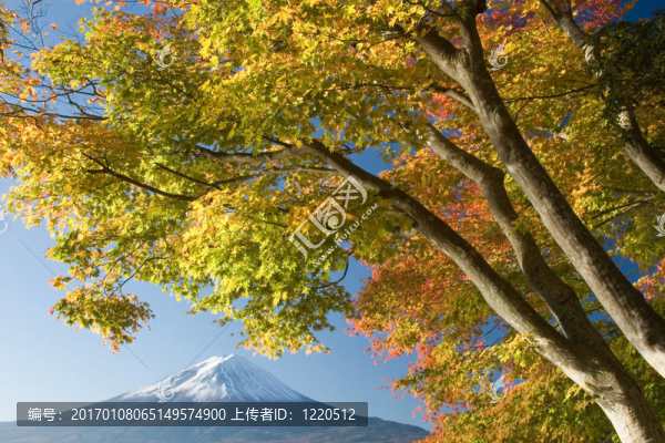 秋天的富士山