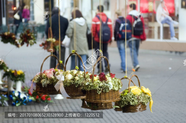街上的花