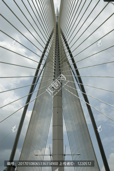 橋