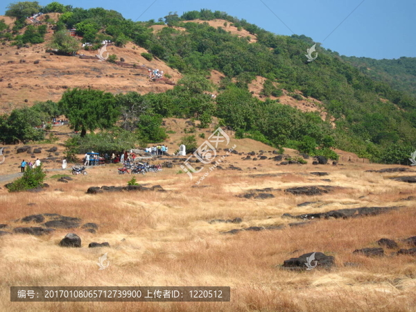 夏天的風(fēng)景