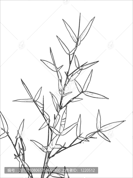 竹葉枝葉