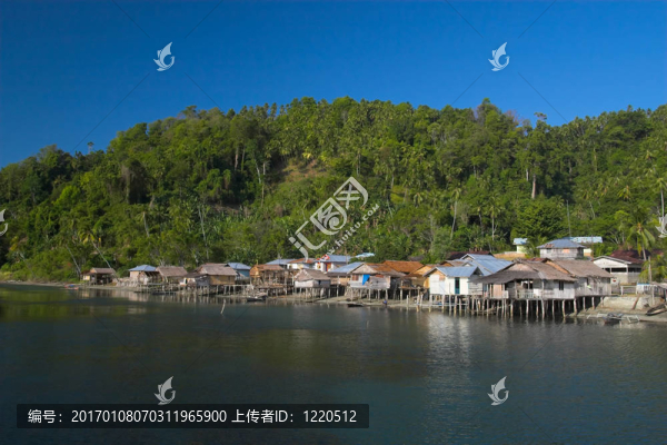熱帶村