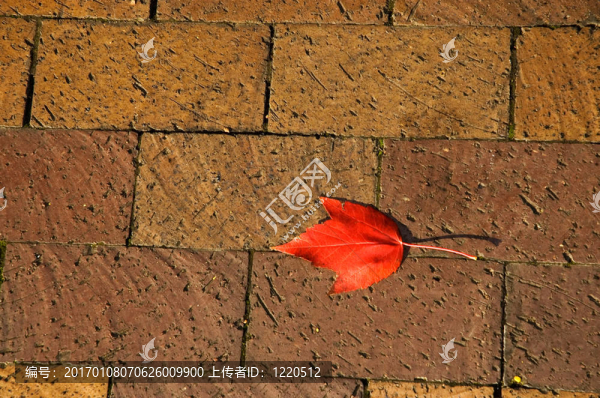 鵝卵石的人行道