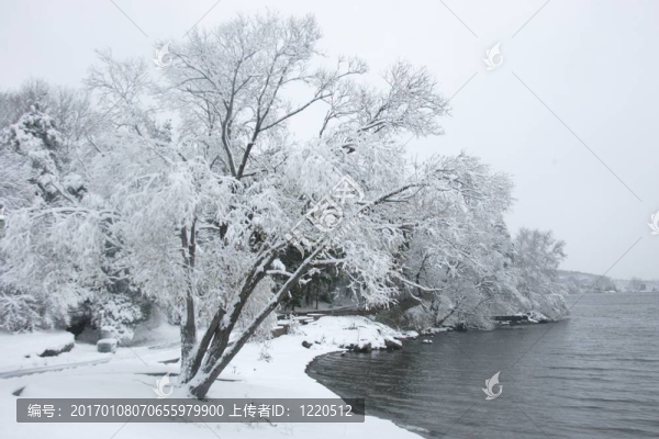 在湖邊