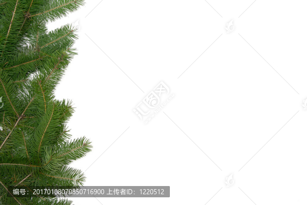 圣誕樹架