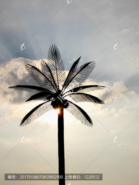 手心的太陽