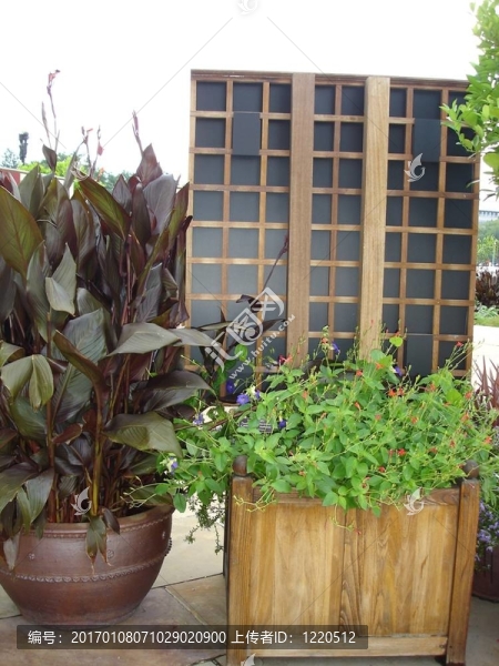盆花