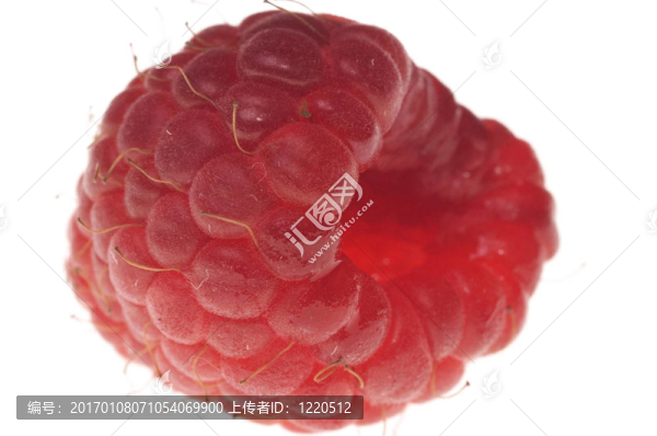 大的覆盆子