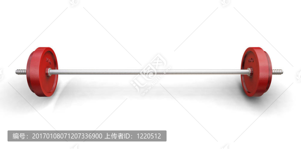 舉重的重量