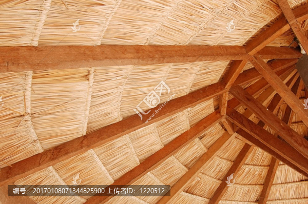 屋頂