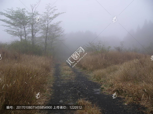 霧蒙蒙的山路