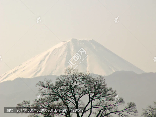 富士山觀