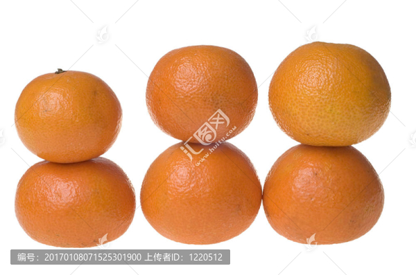橘子收成時(shí)