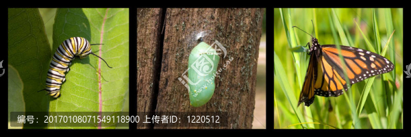 轉(zhuǎn)型
