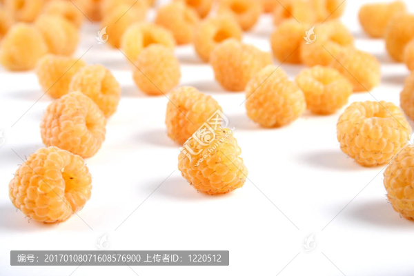 覆盆子