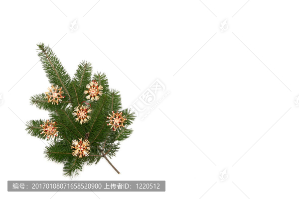 圣誕樹架
