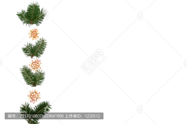 圣誕樹架