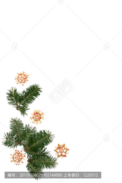 圣誕樹架