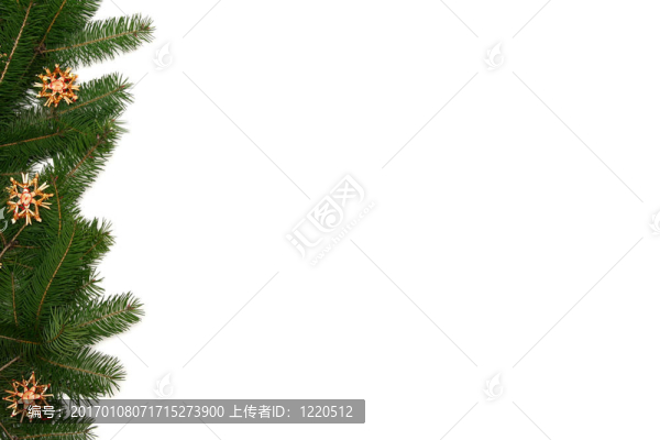 圣誕樹架
