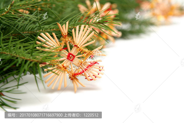 圣誕樹架
