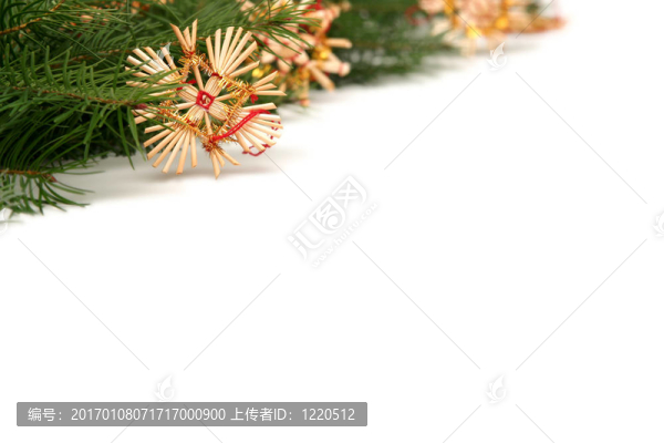 圣誕樹架