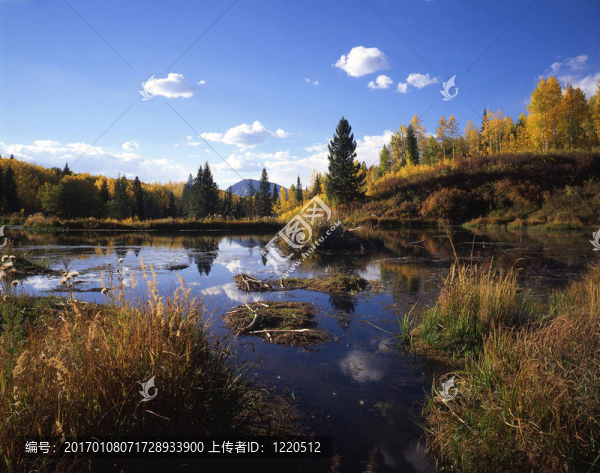 gunnisonwetlands