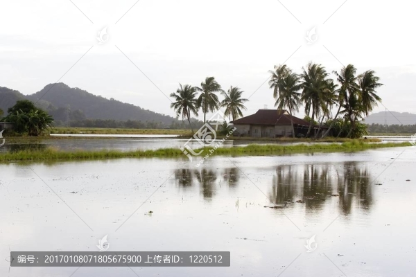 馬來村