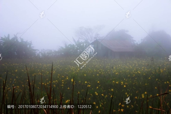 霧蒙蒙的鄉(xiāng)村