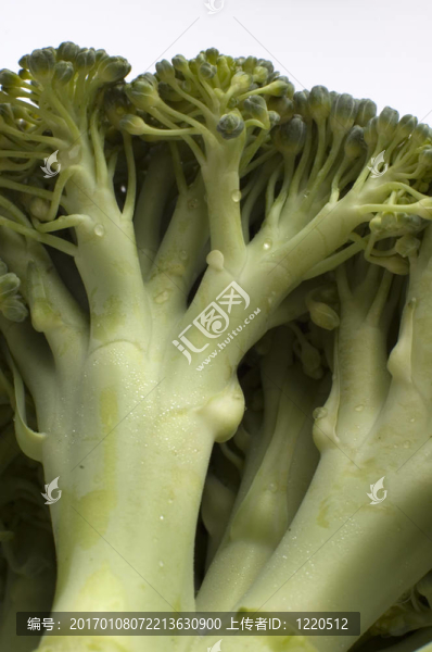 西蘭花
