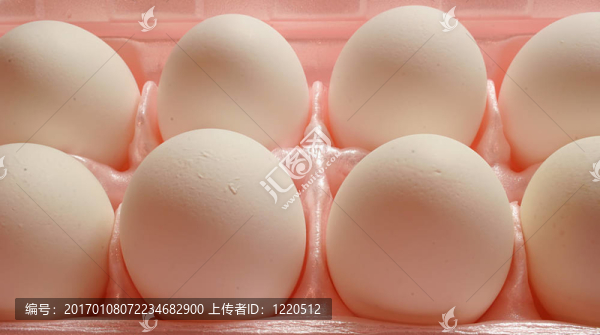 雞蛋