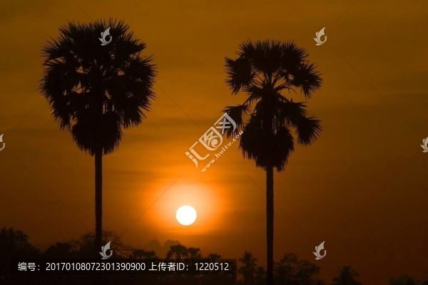 日出