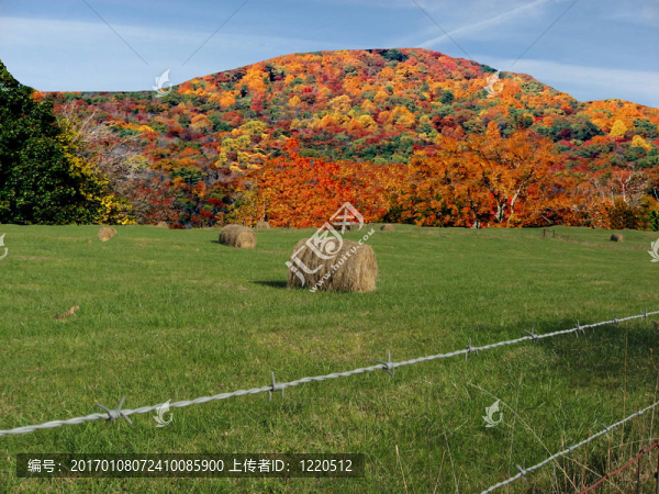 田園風光