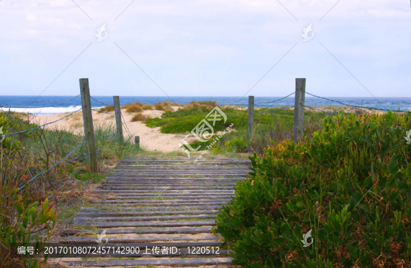 沿海步行道