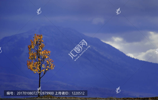 秋天的樹和Mountains