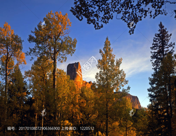 ChimneyPeak（H）