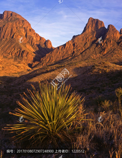 chisosmountains