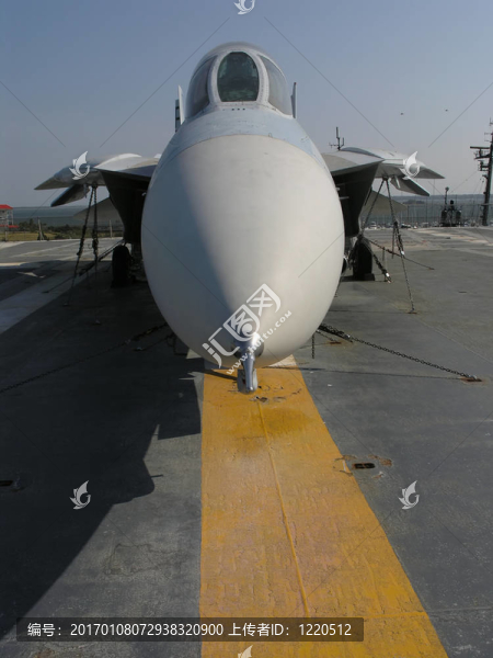F-14,Tomcat的鼻子
