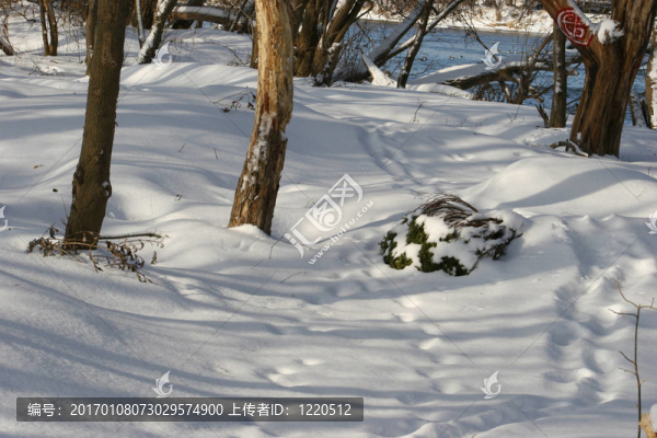 雪