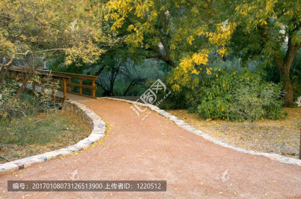 秋天的道路寬