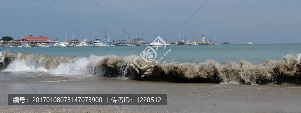 海岸的太平洋