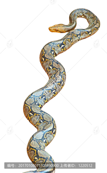 孤立的Python