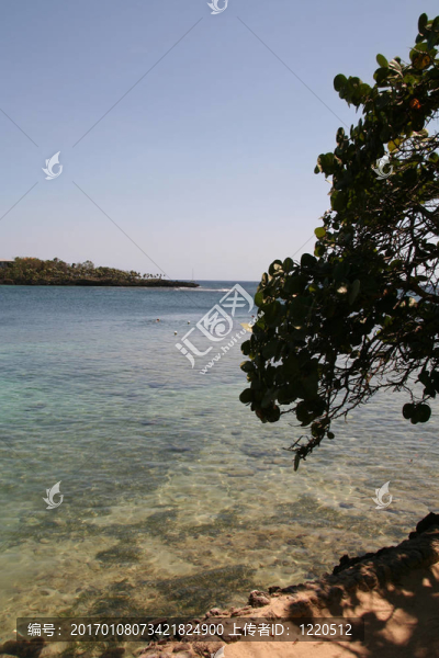 羅阿坦島洪都拉斯海岸線
