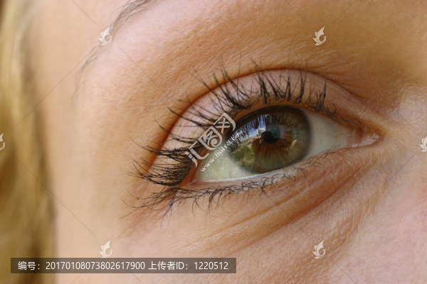 女性的眼睛
