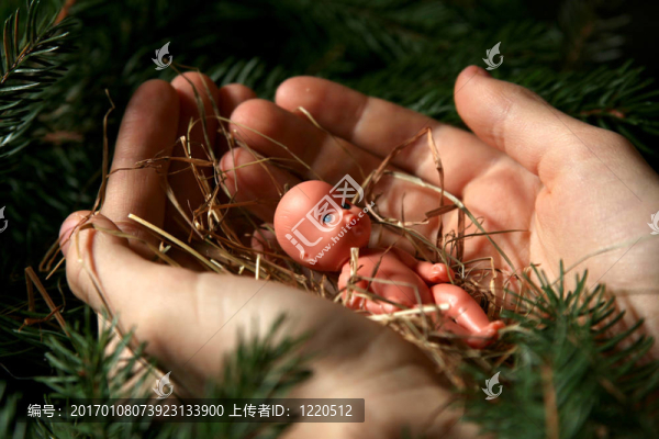 嬰兒