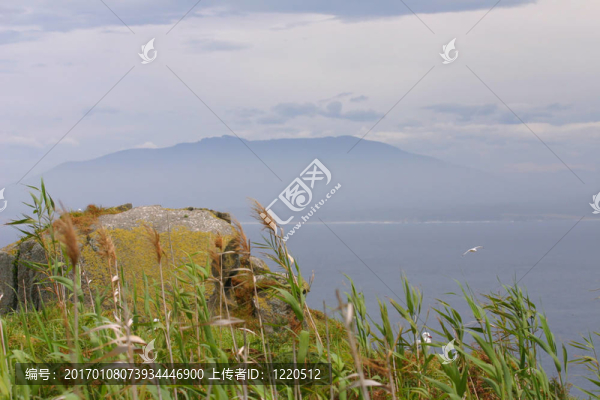 美麗的海岸