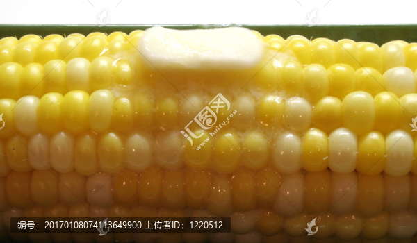 玉米2