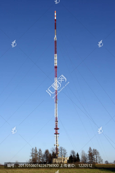 電信
