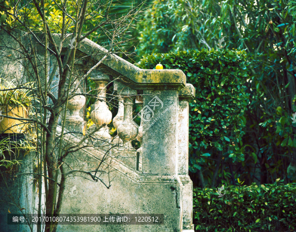 法國的綠色花園